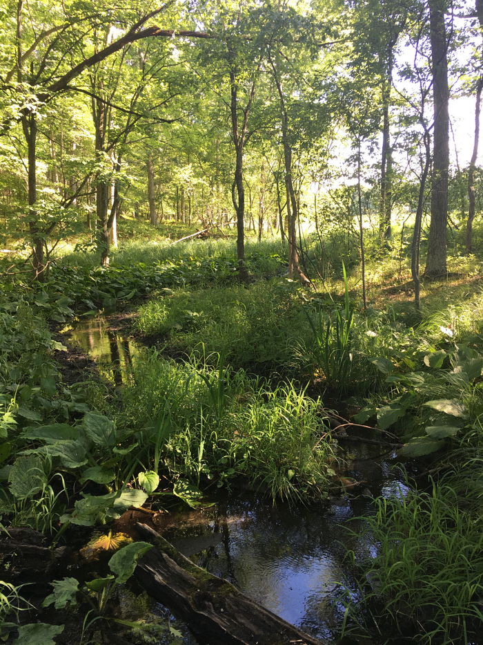 Kensington Metropark - 2017 Photo